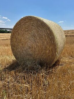 Predám môj prebytok pšeničnej slamy