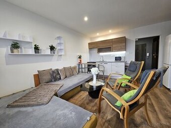 Priestranná garsónka s nádherným výhľadom na lesík (H