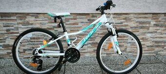 Rock Machine Catherine 24"