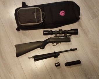 ruger takedown 10/22