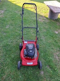 Briggs stratton