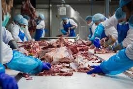 Pomocné práce v mäsopriemysle - Rakúsko