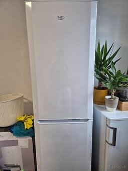 Predám chladničku BEKO