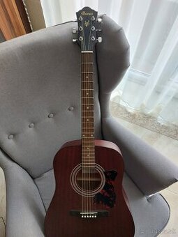 Gitara akusticka IBANEZ