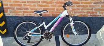 Bicykel Dema Pegas 24" alu
