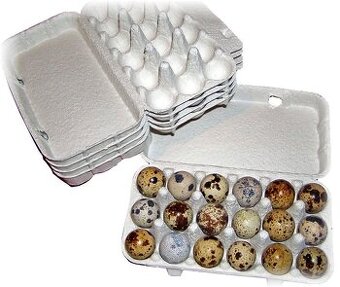 Nasadove vajcia prepelice