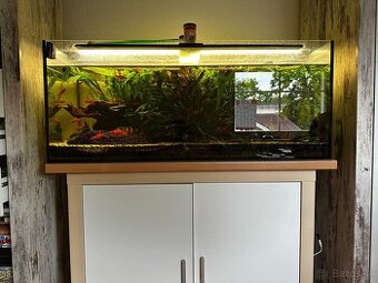 300l Akvárium