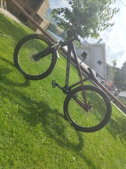 CTM Dirtking 2021