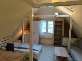 Izba 24m2 v rodinnom dome pre pracujucu zenu z okolia Kosic.