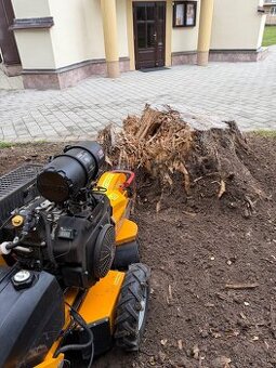 Profesionálne frézovanie a likvidácia pňov – rýchlo, bezpečn