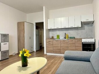 Veľká garzónka na prenájom KVP / Studio apartment for rent