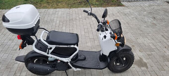 Honda Zoomer NPS50 - Znížená cena