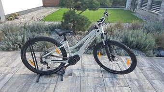SPECIALIZED