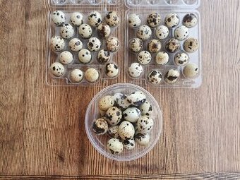 Prepeličie vajíčka