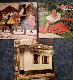 Predám LP s maďarskými piesňami