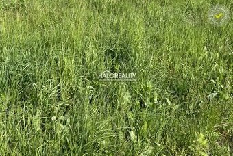 HALO reality - Predaj, pozemok pre rodinný dom 720 m2 Kráľ