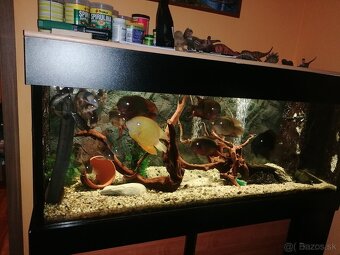 Akvarium