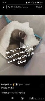 Fretka