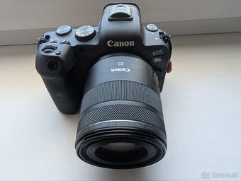 Canon EOS R6+RF 85/2 macro IS STM - 1