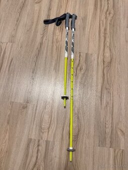 Destke lyziarske nastavitelne palice