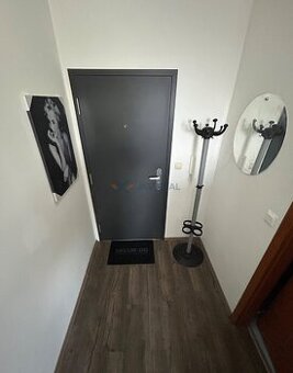 Na prenájom garsónka v Podunajských Biskupiciach