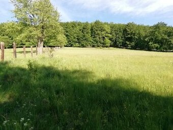 Na predaj pekný veľký slnečný pozemok - 1