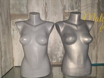 Busty zo zrušenej predajne