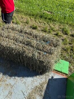 Seno lucerka malé balíky