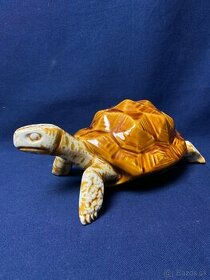 Porcelánová korytnačka - 1