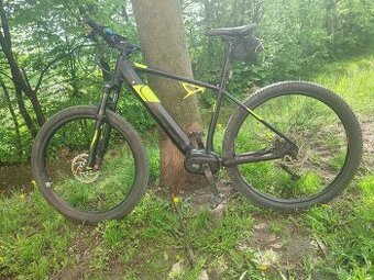 CTM Pulze Xpert 2021