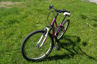 Bicykel Kenzel Roxis SF 24"