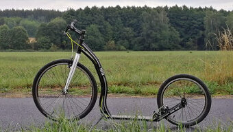 Kolobežka Yedoo Alloy Trexx Black