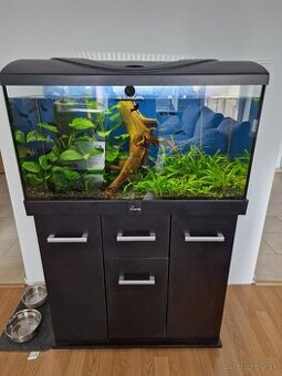 Komplet akvárium Diversa