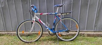 Predám cestný bicykel Vector