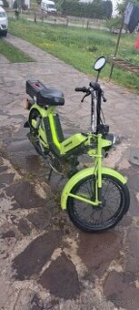 Babetta210