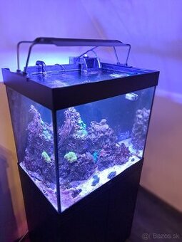 Morské akvarium predaj