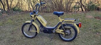 BABETTA - r.1990