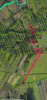 Rekreačné Pozemky s POTENCIÁLOM a Drevnou Hmotou - 4800m2