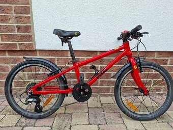 Bicykej Frog