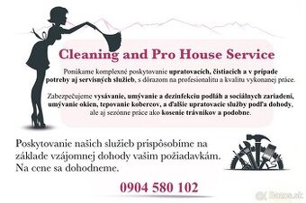 Cleaning and Pro House Service
