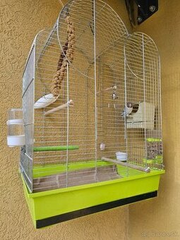 Agapornis personata spolu s veľkou klietkou.