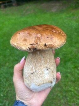 Sušené hríby 0,5 l