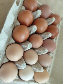 Domáce vajíčka
