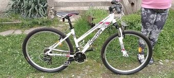 Dema Pegas 1.0