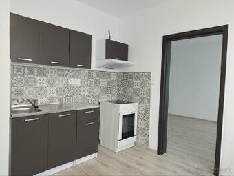 Zrekonštruovaný 1 izbový byt ihneď k nasťahovaniu