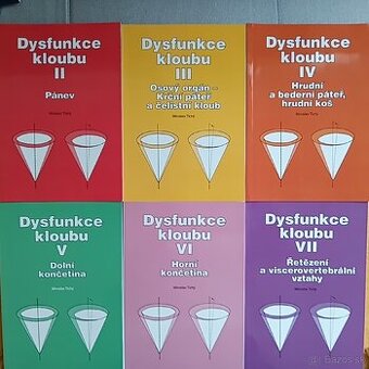 Miroslav Tichý Dysfunkce kloubu - fyzioterapie.