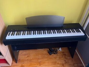 Yamaha P-60
