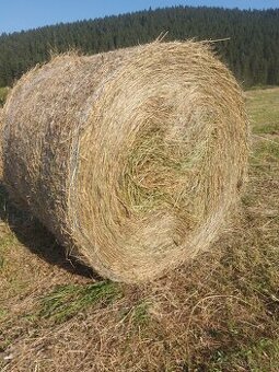 Predám seno balíky