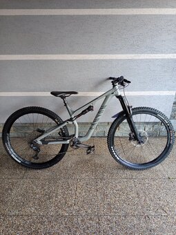 Canyon neuron 6