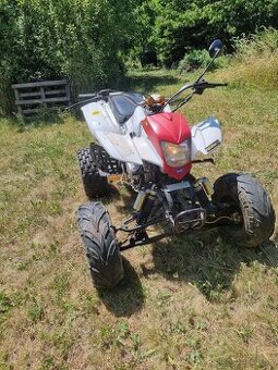 Predam Bashan 250cc